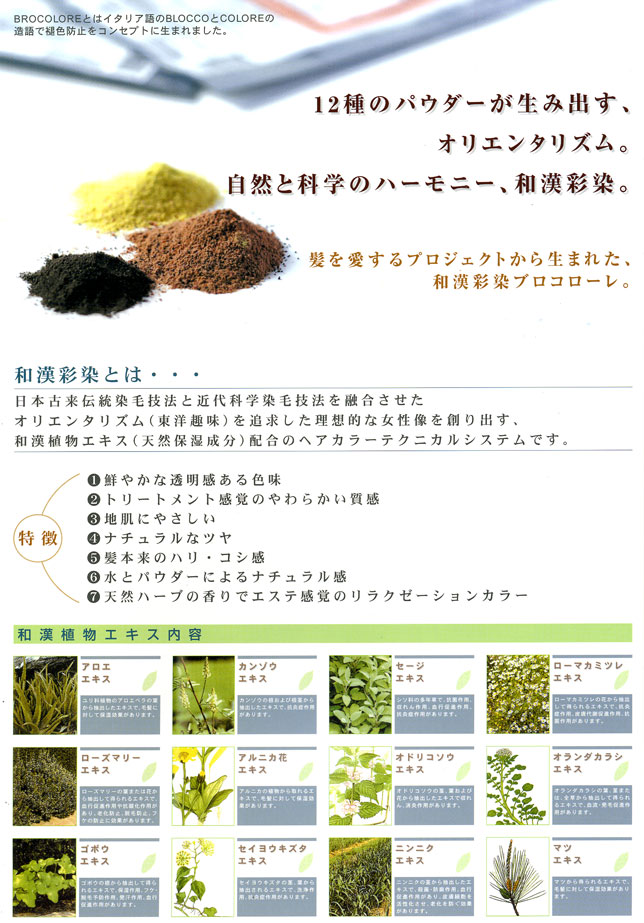 �p���t���b�g